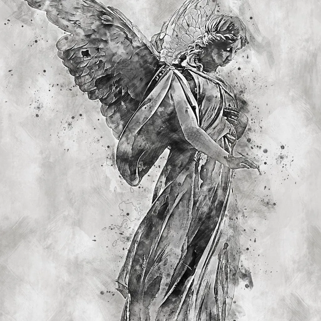 Angel - Mateo