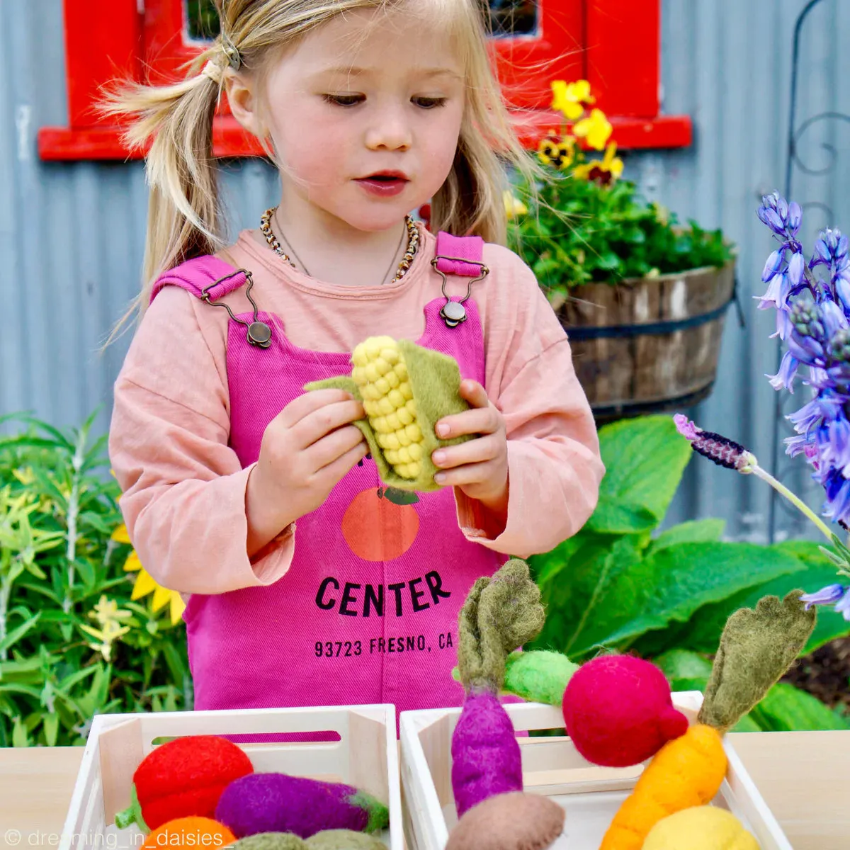 Felt Fruit & Vegetable Set - 14 Pieces