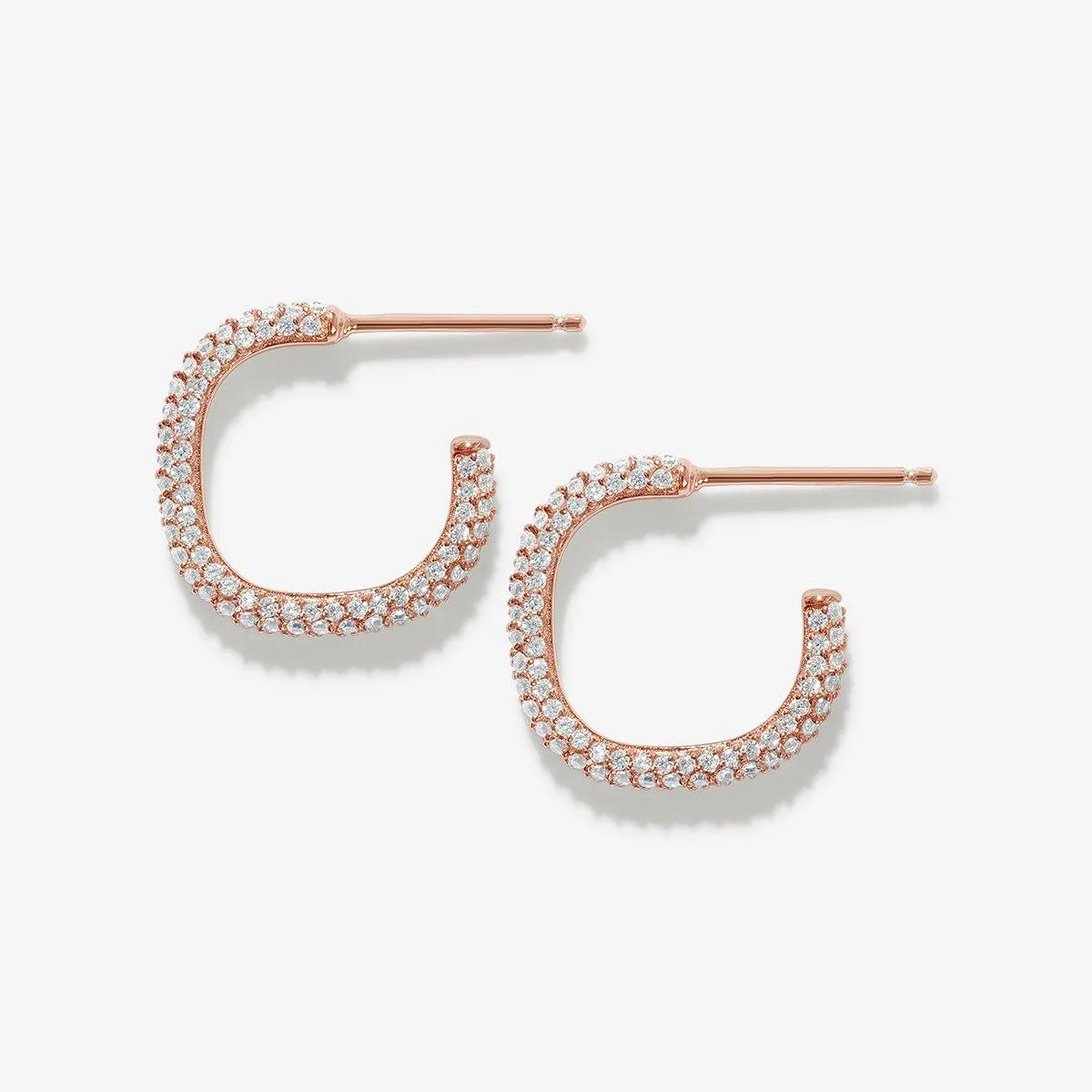 Hass hoop earrings