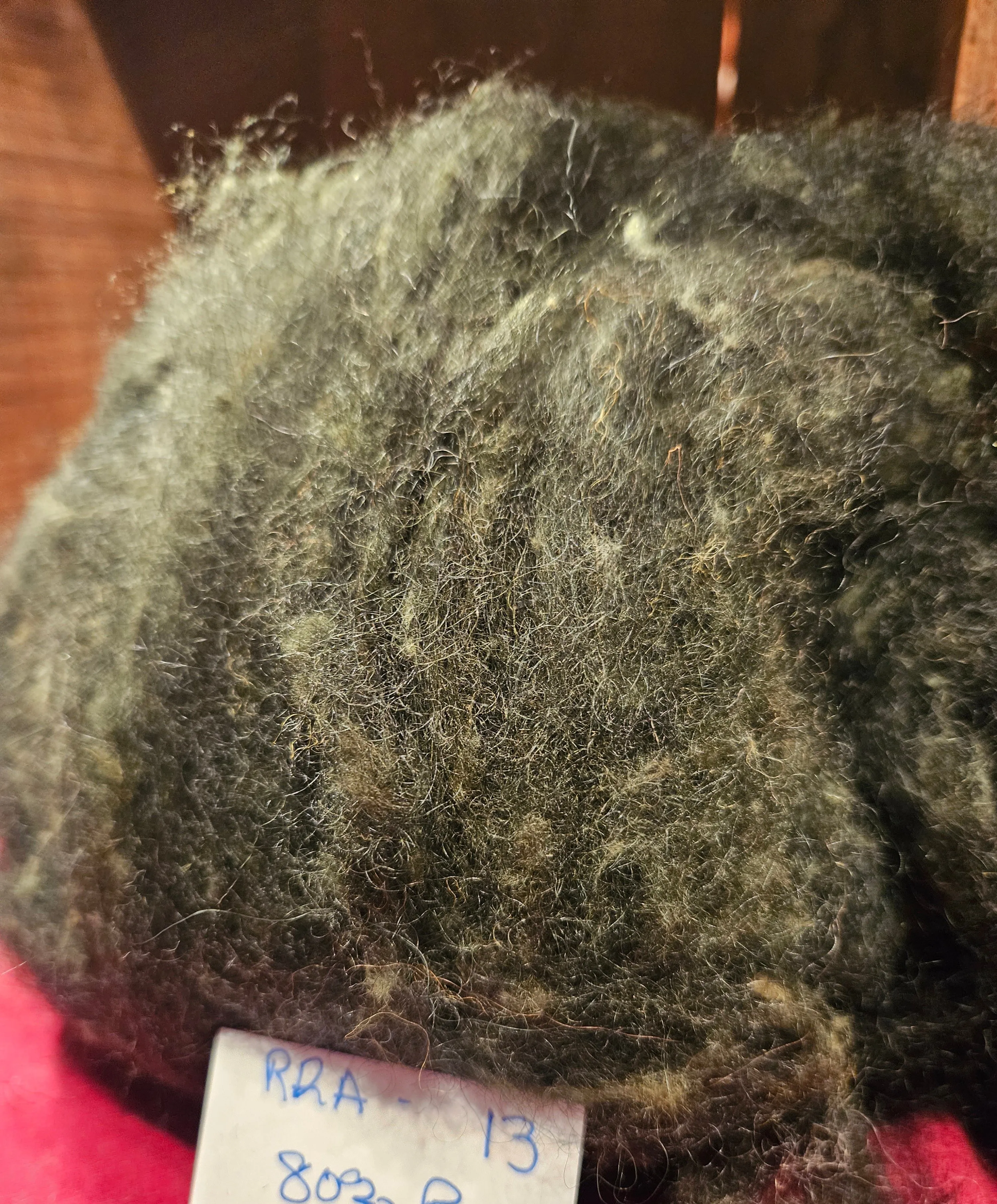 Roving Blend RRA-13 - 70% Romney 30% Angora Forest Green -2.6 ounces