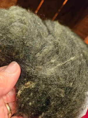 Roving Blend RRA-13 - 70% Romney 30% Angora Forest Green -2.6 ounces
