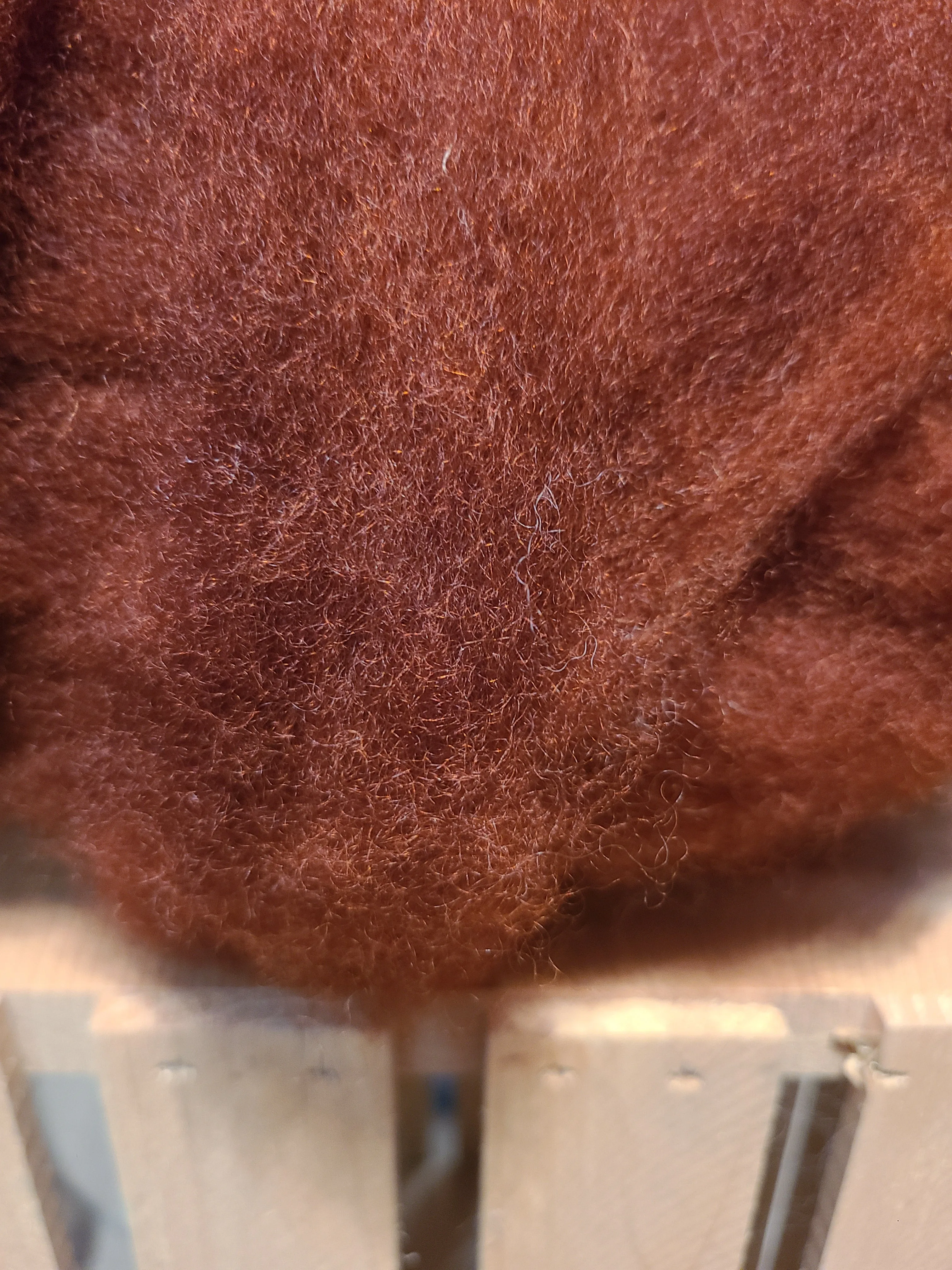 Roving RRR-9 Rust Hand-dyed Romney - 2 ounces
